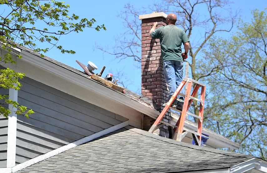 Chimney & Fireplace Inspections Services in Leisure City, FL